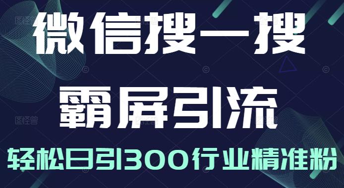 微信搜一搜霸屏引流课，打造被动精准引流系统，轻松日引300行业精准粉【无水印】-智宝网创