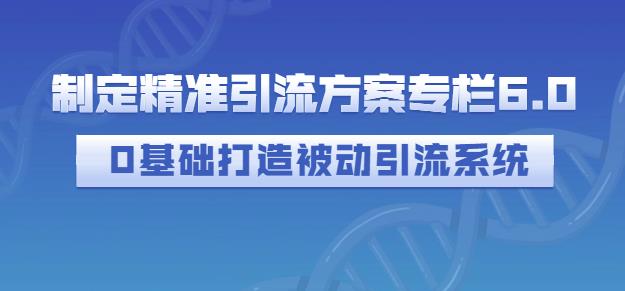 制定精准引流方案专栏6.0，0基础打造被动引流系统-智宝网创