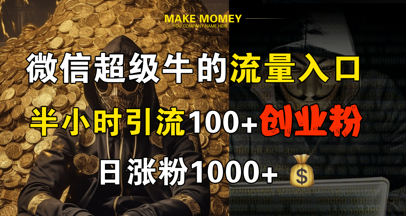 微信超级牛的流量入口，半小时引流100+创业粉，日涨粉1000+-智宝网创