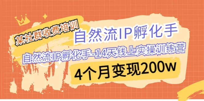 某社群收费培训：自然流IP 孵化手-14天线上实操训练营 4个月变现200w-智宝网创