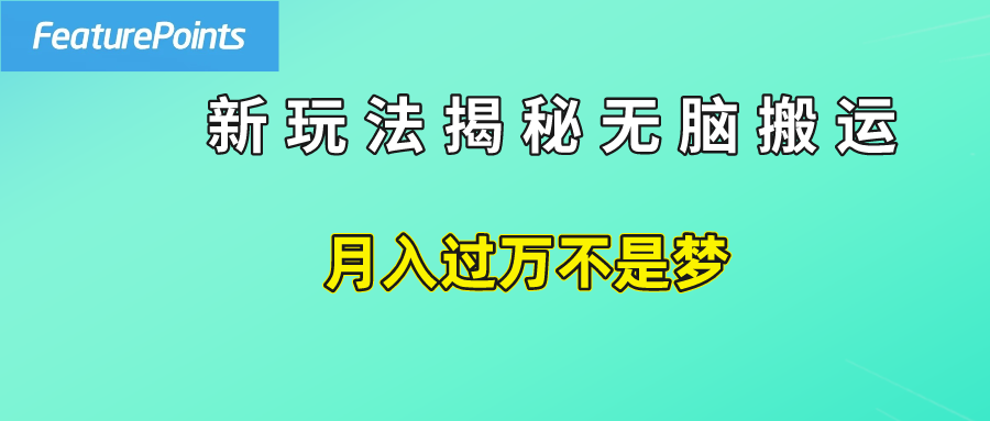 简单操作，每天50美元收入，搬运就是赚钱的秘诀！-智宝网创