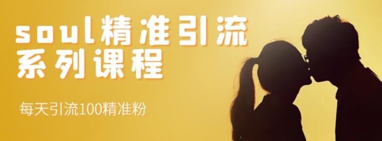 soul精准引流系列课程，每天引流100精准粉-智宝网创