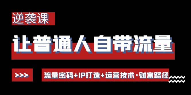 让普通人自带流量的逆袭课：流量密码+IP打造+运营技术·财富路径-智宝网创