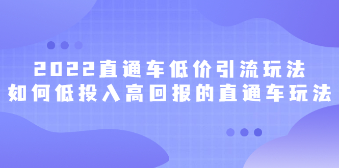 2022直通车低价引流玩法，教大家如何低投入高回报的直通车玩法-智宝网创