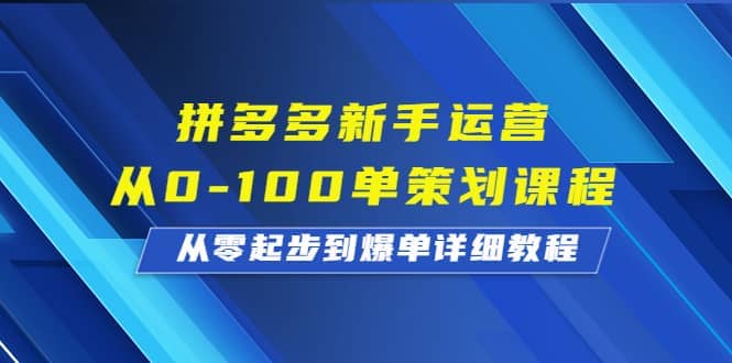 拼多多新手运营从0-100单策划课程，从零起步到爆单详细教程-智宝网创