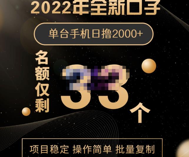 2022年全新口子，手机批量搬砖玩法，一部手机日撸2000+-智宝网创