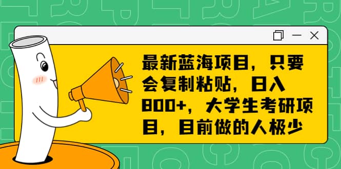 最新蓝海项目，只要会复制粘贴，日入800+，大学生考研项目，目前做的人极少-智宝网创