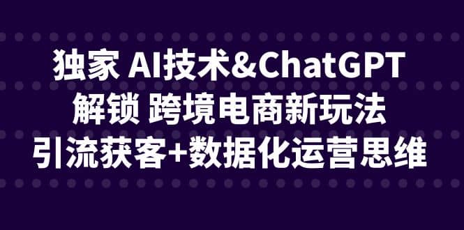 独家 AI技术ChatGPT解锁 跨境电商新玩法，引流获客+数据化运营思维-智宝网创