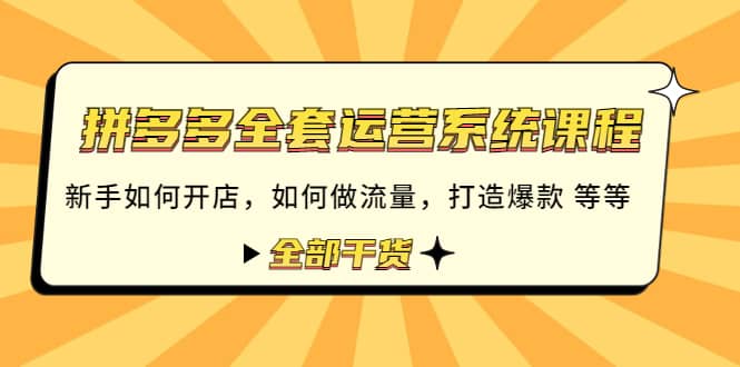 拼多多全套运营系统课程：新手如何开店 如何做流量 打造爆款 等等 全部干货-智宝网创