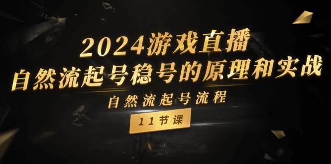 2024游戏直播-自然流起号稳号的原理和实战，自然流起号流程（11节）-智宝网创