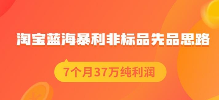 盗坤淘宝蓝海暴利非标品先品思路，7个月37万纯利润，压箱干货分享！【付费文章】-智宝网创
