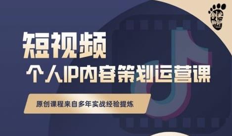 抖音短视频个人ip内容策划实操课，真正做到普通人也能实行落地-智宝网创