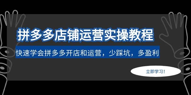 拼多多店铺运营实操教程：快速学会拼多多开店和运营，少踩坑，多盈利-智宝网创