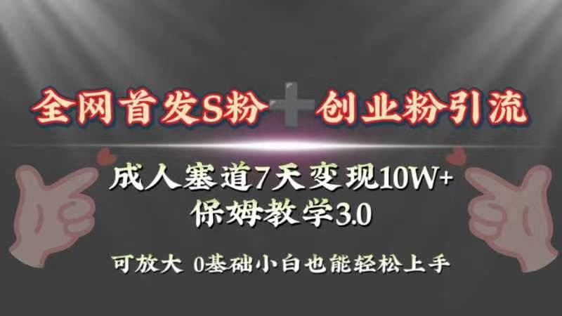 .全网首发s粉加创业粉引流变现，成人用品赛道7天变现10w+保姆教学3.0-智宝网创