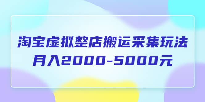 淘宝虚拟整店搬运采集玩法分享课：月入2000-5000元（5节课）-智宝网创