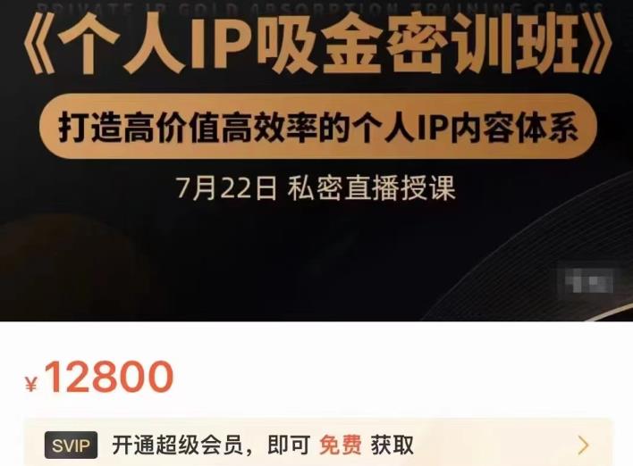 个人IP吸金密训班，打造高价值高效率的个人IP内容体系（价值12800元）-智宝网创