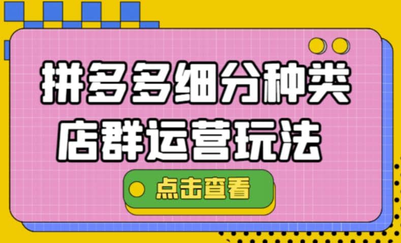 拼多多细分种类店群运营玩法3.0，11月最新玩法，小白也可以操作-智宝网创