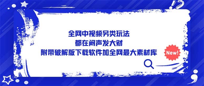 全网中视频另类玩法，都在闷声发大财，附带下载软件加全网最大素材库-智宝网创