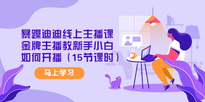 暴躁迪迪线上主播课，金牌主播教新手小白如何开播（15节课时）-智宝网创