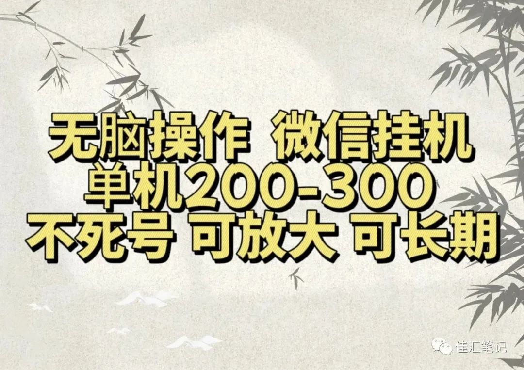无脑操作微信视频号挂机单机200-300一天，不死号，可放大，工作室实测-智宝网创