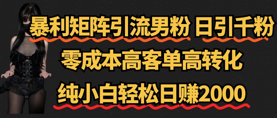 暴利矩阵引流男粉（日引千粉），零成本高客单高转化，纯小白轻松日赚2000+-智宝网创