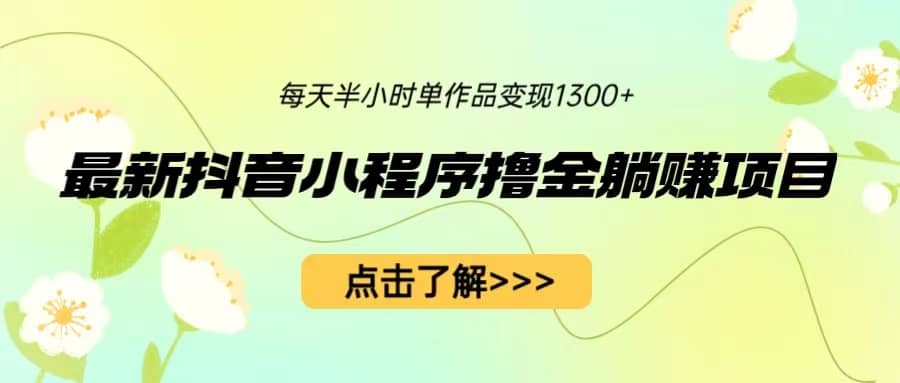 最新抖音小程序撸金躺赚项目，一部手机每天半小时，单个作品变现1300+-智宝网创