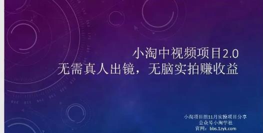 .小淘项目组网赚永久会员，绝对是具有实操价值的，适合有项目做需要流程【持续更新】-智宝网创