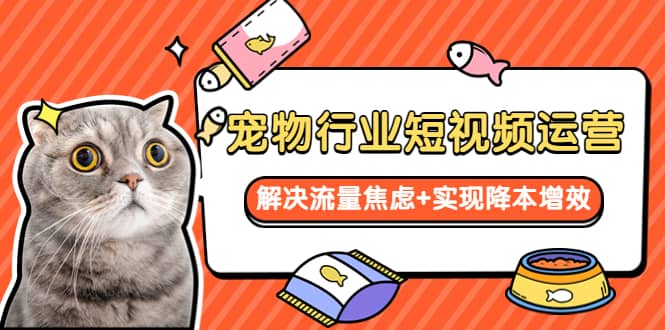 宠物/行业短视频运营 流量增长的一层窗户纸 解决流量焦虑+实现降本增效-智宝网创