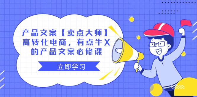 产品文案【卖点大师】高转化电商，有点牛X的 产品文案必修课-智宝网创