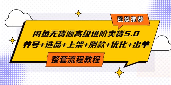 闲鱼无货源高级进阶卖货5.0，养号+选品+上架+测款+优化+出单整套流程教程-智宝网创