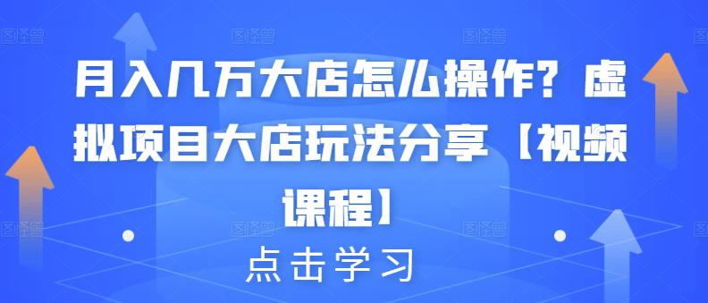 月入几万大店怎么操作？虚拟项目大店玩法分享【视频课程】-智宝网创