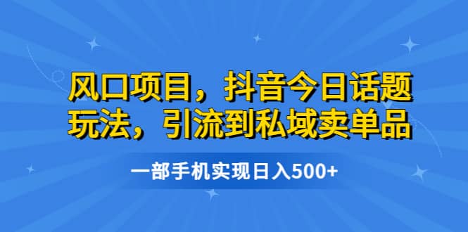 风口项目，抖音今日话题玩法，引流到私域卖单品，一部手机实现日入500+-智宝网创