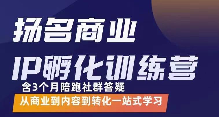 杨名商业IP孵化训练营，从商业到内容到转化一站式学 价值5980元-智宝网创