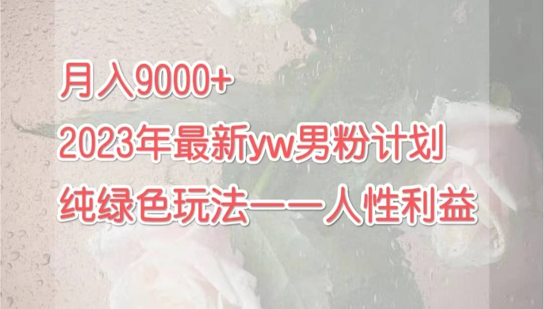 月入9000+2023年9月最新yw男粉计划绿色玩法——人性之利益-智宝网创