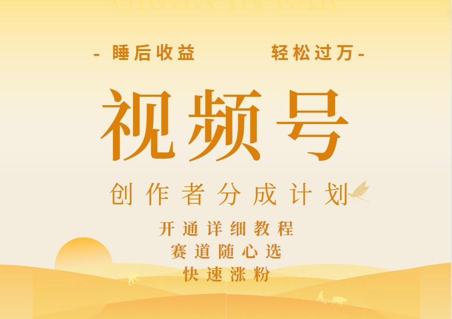 详解视频号创作者分成计划，暴力起号，可同步多平台，实现睡后收入2W+，看懂即可操作！-智宝网创