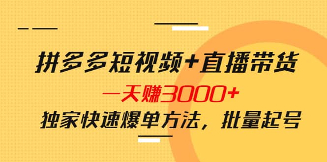 拼多多短视频+直播带货，一天赚3000+独家快速爆单方法，批量起号-智宝网创