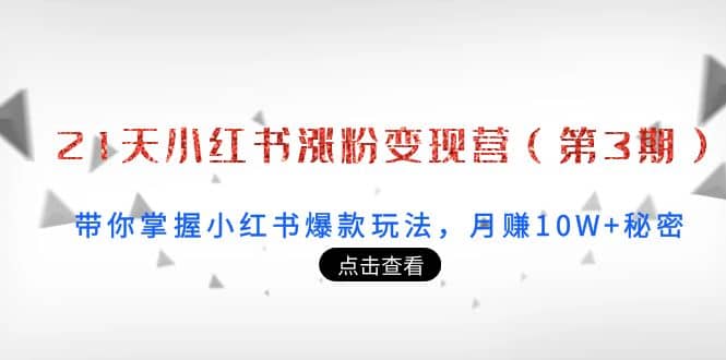 21天小红书涨粉变现营（第3期）：带你掌握小红书爆款玩法，月赚10W+秘密-智宝网创