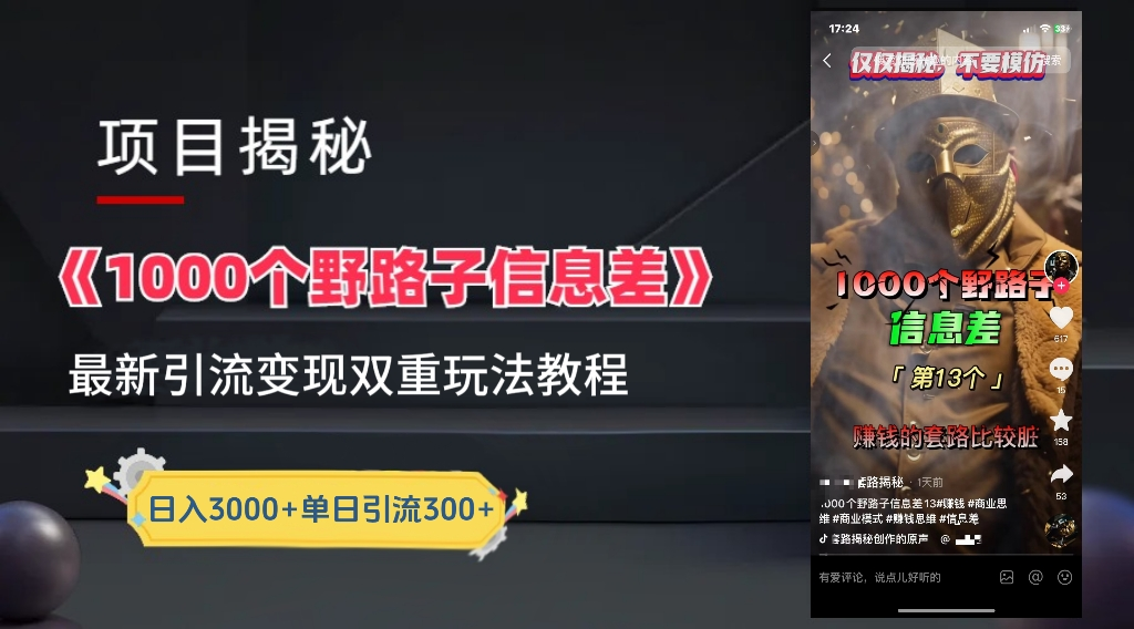 最新一千个野路子信息差玩法教程如何变现＋引流的玩法具体拆解！！！-智宝网创