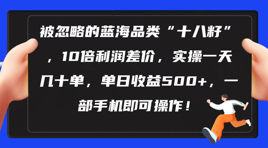 被忽略的蓝海品类“十八籽”，10倍利润差价，实操一天几十单 单日收益500+-智宝网创