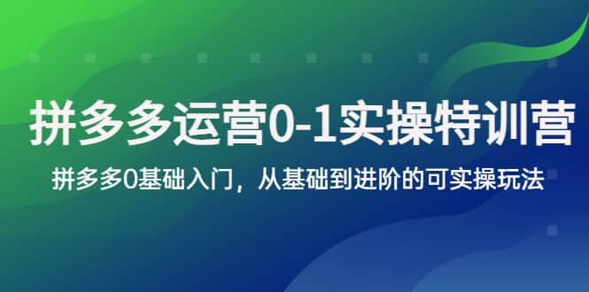 拼多多-运营0-1实操训练营，拼多多0基础入门，从基础到进阶的可实操玩法-智宝网创