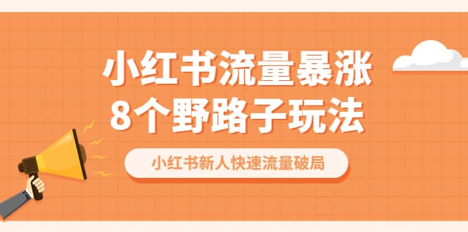 小红书流量-暴涨8个野路子玩法：小红书新人快速流量破局（8节课）-智宝网创