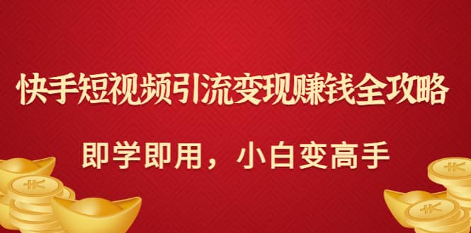 快手短视频引流变现赚钱全攻略：即学即用，小白变高手（价值980元）-智宝网创
