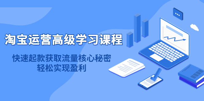 淘宝运营高级学习课程：快速获取流量核心秘密，轻松实现盈利！-智宝网创