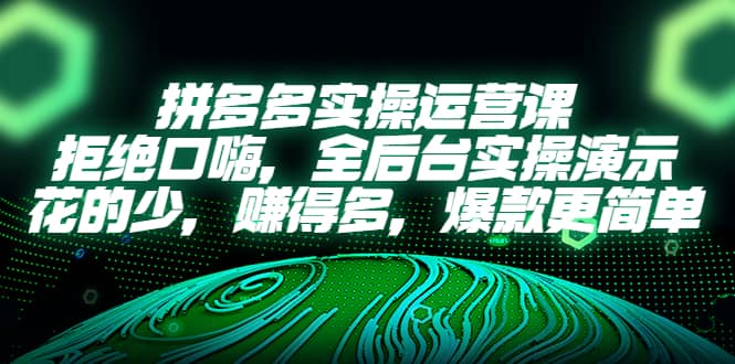 拼多多实操运营课：拒绝口嗨，全后台实操演示，花的少，赚得多，爆款更简单-智宝网创
