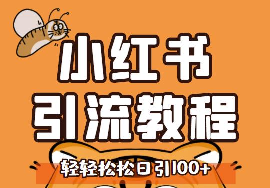 小红书运营引流全系列课程，每天引流100精准粉-智宝网创