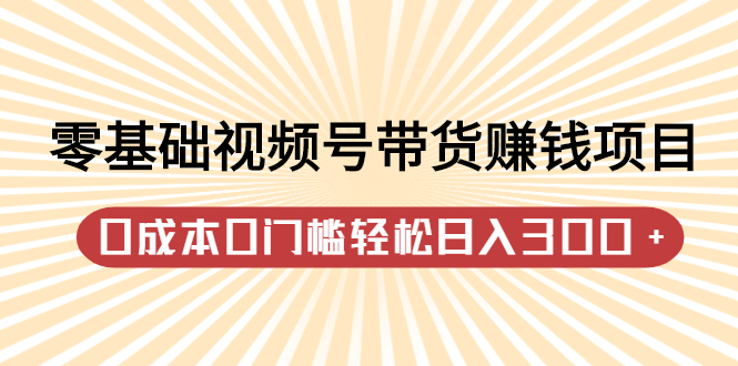 零基础视频号带货赚钱项目，0成本0门槛轻松日入300+【视频教程】-智宝网创
