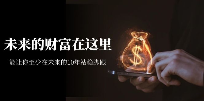 某收费文章《未来的财富在这里》能让你至少在未来的10年站稳脚跟-智宝网创