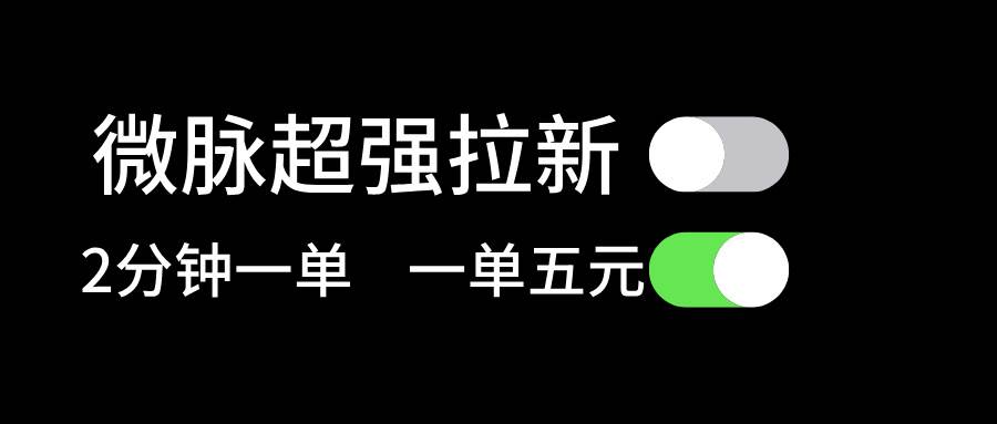 微脉超强拉新， 两分钟1单， 一单利润5块，适合小白-智宝网创