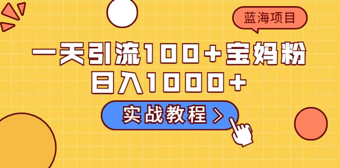 一天引流100+宝妈粉，日入1000+的蓝海项目（实战教程）-智宝网创