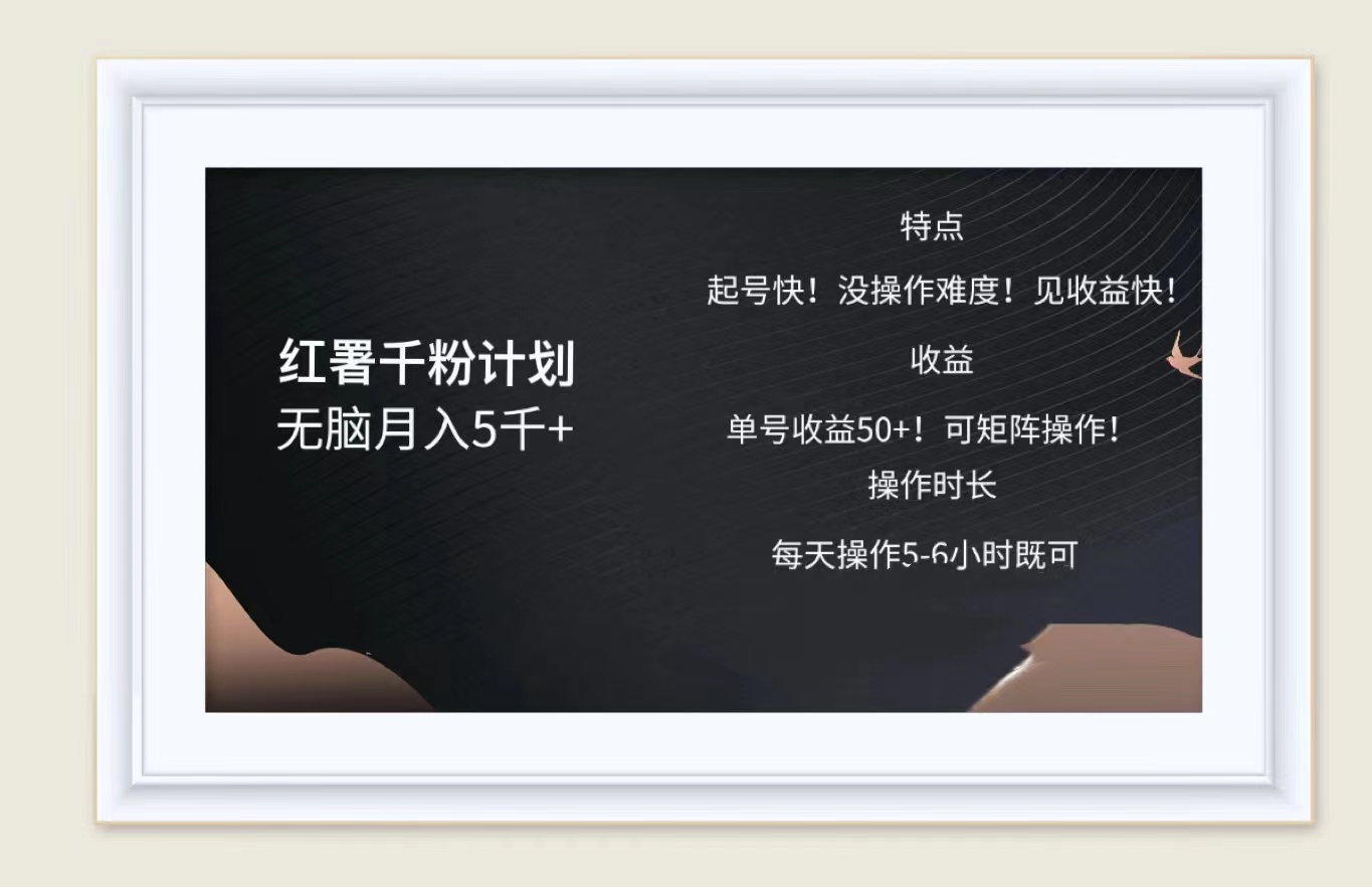 红薯千粉计划无脑月入5千➕！既做既赚！-智宝网创